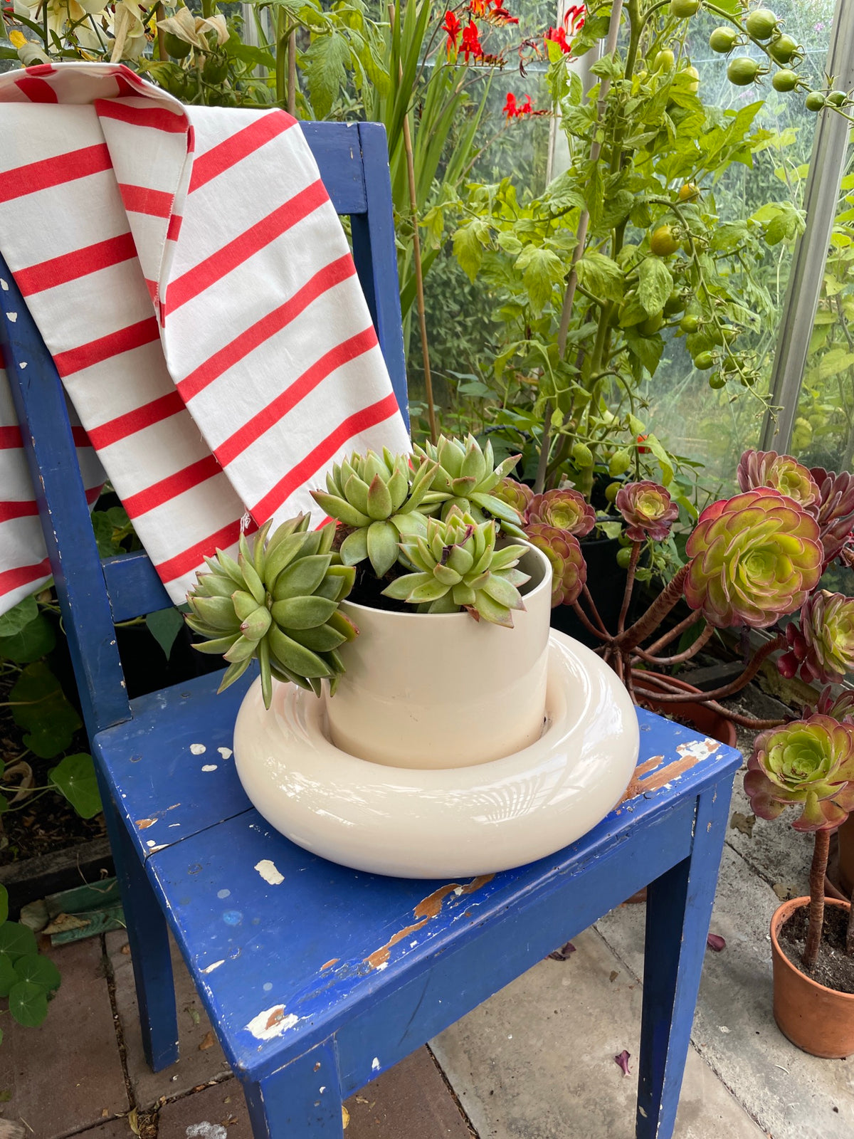 Chunky Flower Pot