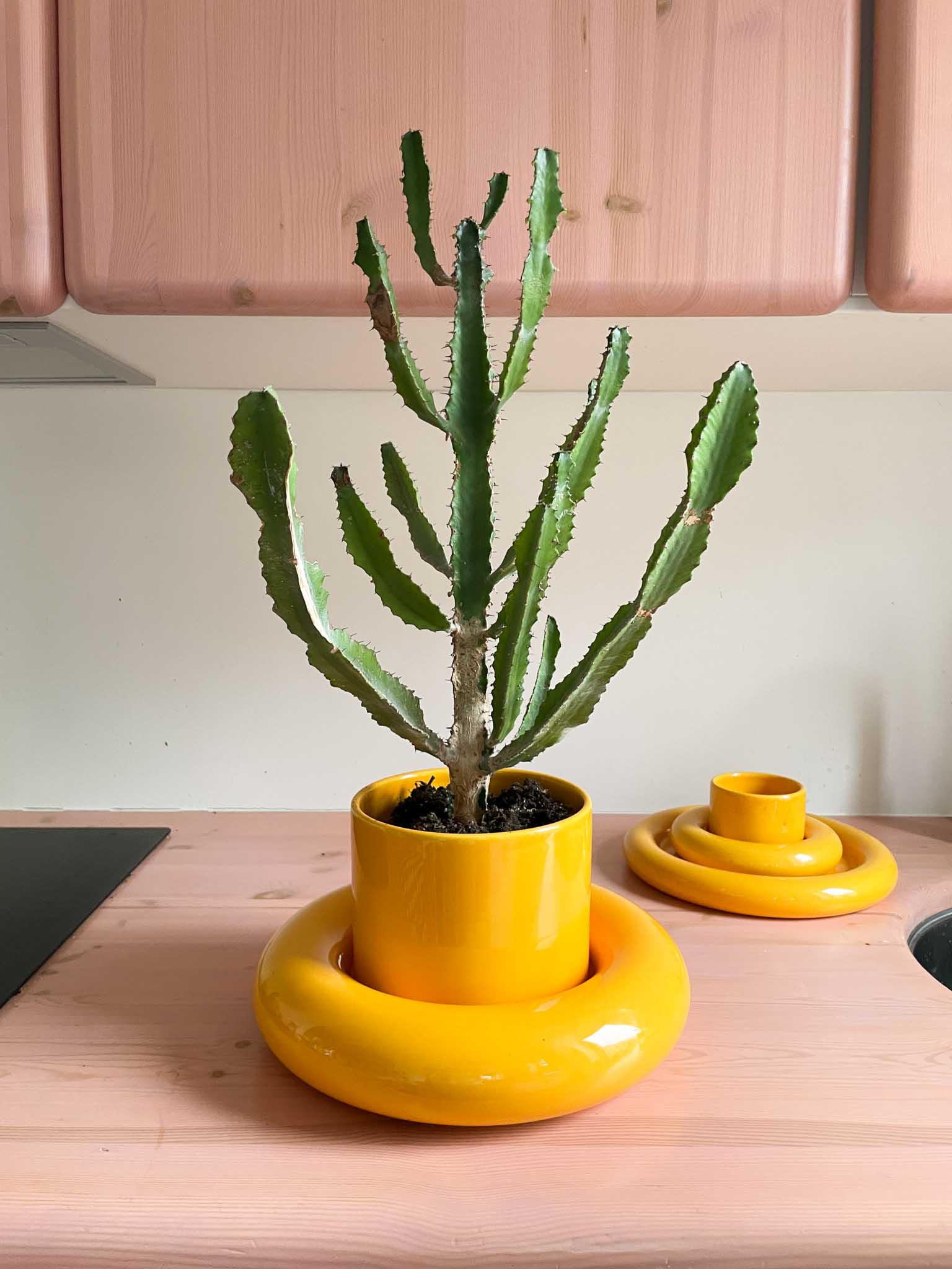 Chunky Flower Pot